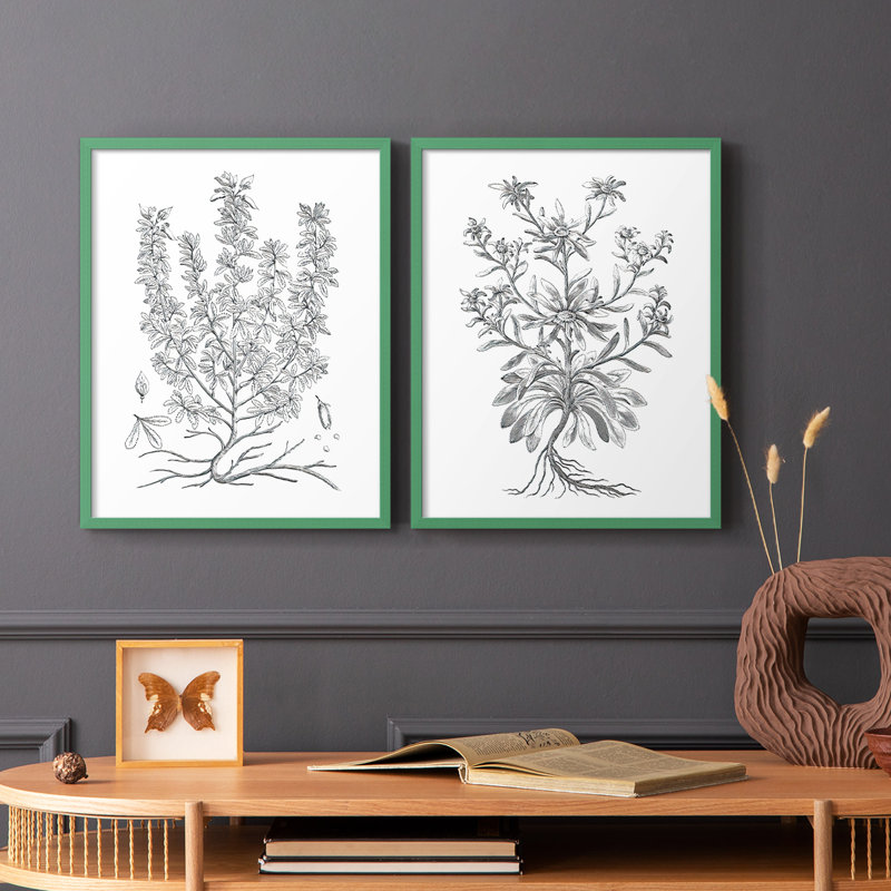 Reproduction encadrée V-Premium de B & W Plant - prêt à être accroché - aucun clou requis - aucun clou requis, Gris