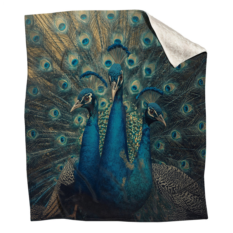 Trois couvertures de paons bleus, 50in W x 60in H