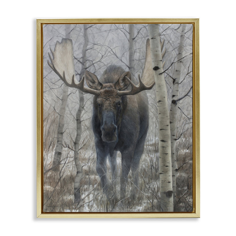 Cadre flottant Moose in Winter Birch Forest, design par James Corwin, H 21 po x l 17 po, Cadre flottant métallique doré