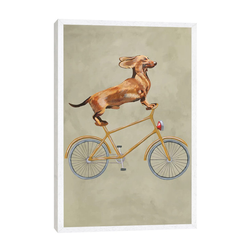 Dachshund On Bicycle I by Coco De Paris - Print on Canvas, 66.04 cm H x 45.72 cm W, White Framed