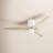 Brocken Ceiling Fan with LED Lights-84010413-84010384