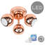 Alishba Spotlight-36154485-36154486