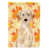 Labrador jaune sélectionné