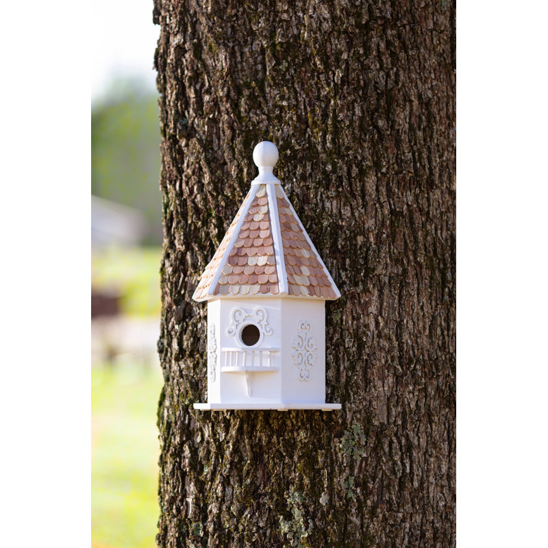 Maison d'oiseaux Rapunzel House
