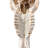 Real Wildebeest Antelope Skull