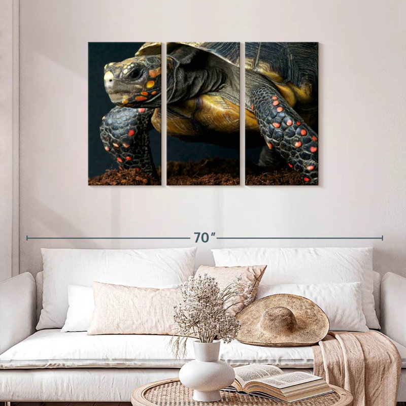 Tortue à pieds rouges Brampt, H 28 po x l 45 po