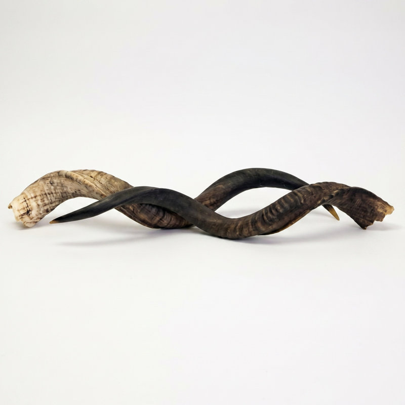Pair of Natural African Kudu Horns