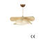 1 - Light Chandelier