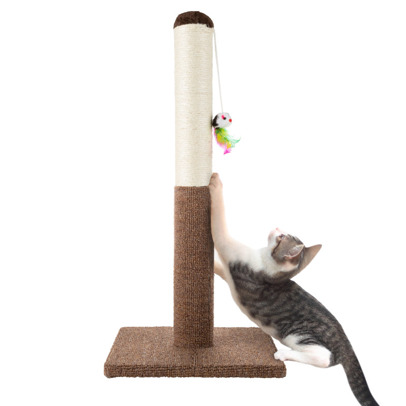 24.5-Inch Brown Sisal and Carpet Cat Scratching Post with Toy