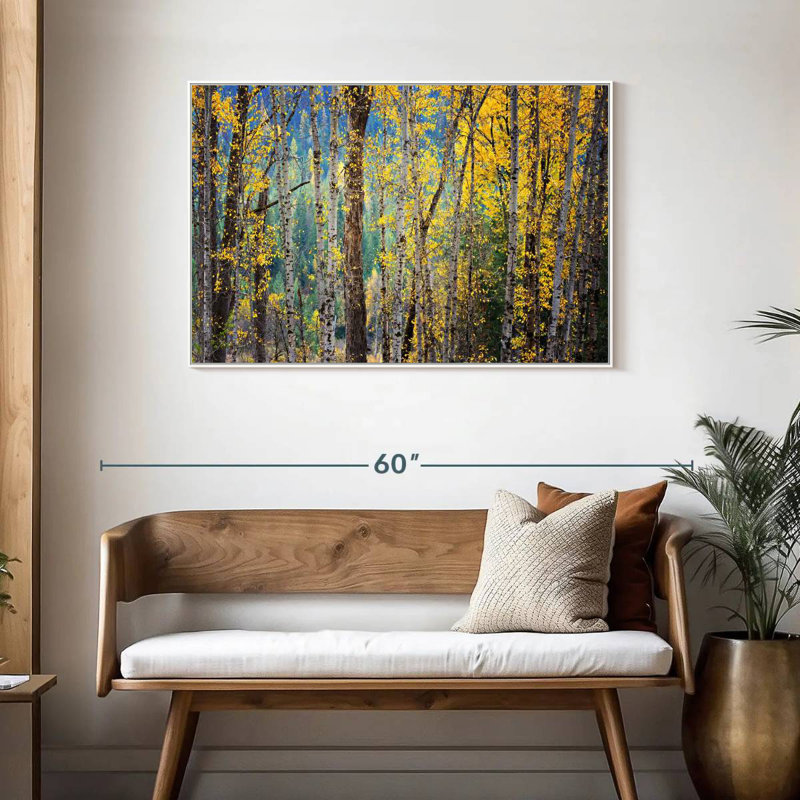 Kootenay Fall II, Cadre flottant blanc, 43 po x 29 po