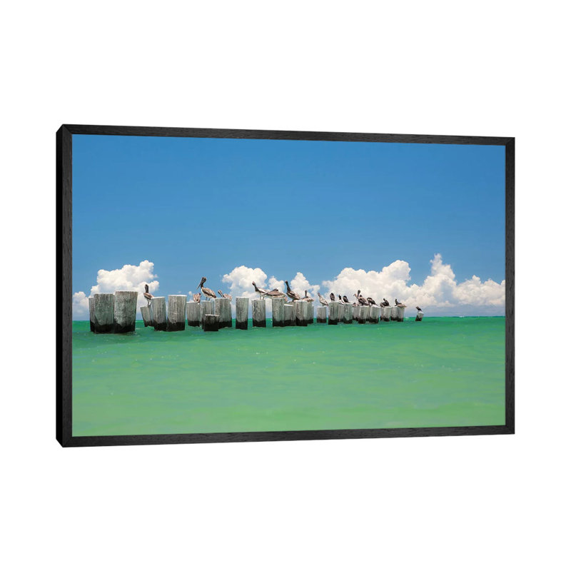 Gull Conference by Verne Varona - Gallery-Wrapped Canvas Giclée on Canvas, 66.04 cm H x 45.72 cm W, Black Floated Frame