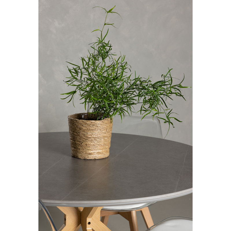 Dalai 4 - Person Dining Set