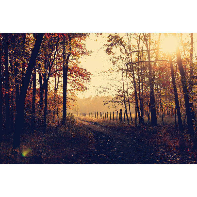 Fall Forest Path - Wrapped Canvas Art Prints, 20cm H x 30cm W x 3.8cm D