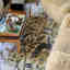 Customer photo 2 of 2