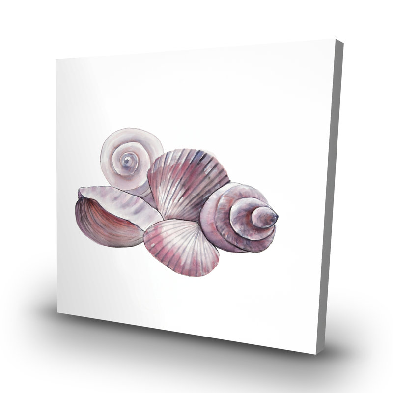 Seaside shells - 32"x32" art on canvas