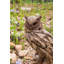 Statue aigle en bois flotté sur souche