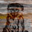 « primates » par parvez taj,-impression sur toile tendue-15005697