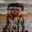 « primates » par parvez taj,-impression sur toile tendue-15005699