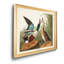 Shoveller Duck - reproduction de cadre photo sur toile-1778529738-1778529745