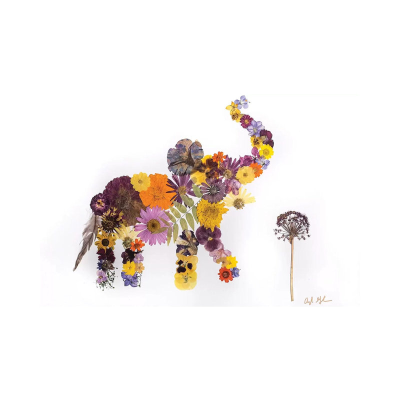 Elephant - Eli by Oxeye Floral Co - Wrapped Canvas Gallery-Wrapped Canvas Giclée, 20.32 cm H x 30.48 cm W