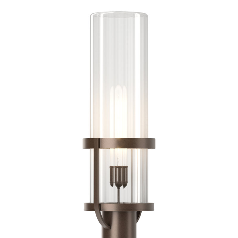 Alcove 1-Light 22.4" H Hardwired Lantern Head, Transparent, Coastal Bronze
