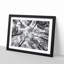 Vaulted Tree Branches - Picture Frame Painting Print-56734457-56734458