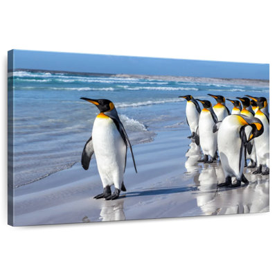 Brampt Penguins In The Beach