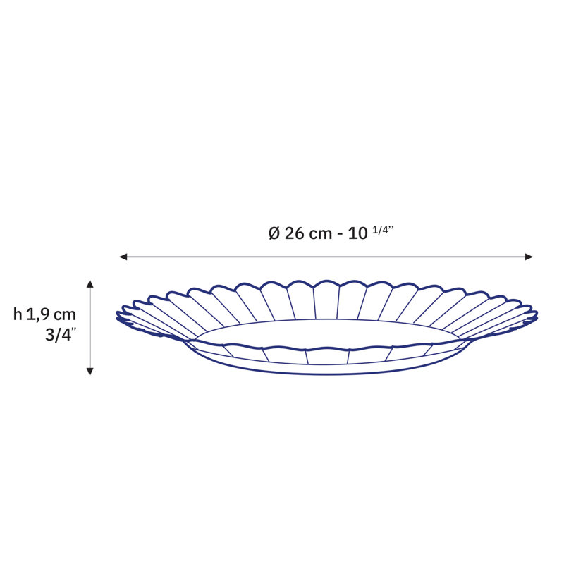 Grandes assiettes transparentes 10,2 po