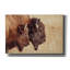 "Epic Graffiti" Bison pair "par Nathan Larson, art mural sur toile-891639138