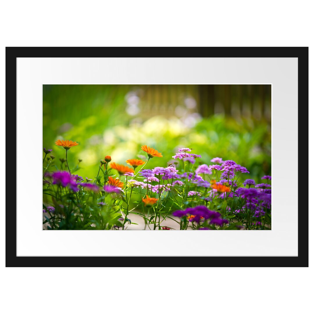 Gerahmtes Poster Blumenwiese