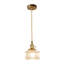 1 - Light Brass Pendant
