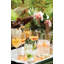 Isabella Acrylic Pitcher