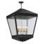 Madeline 10 - Light Chandelier
