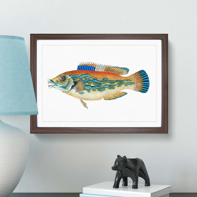 Striped Bass Fish by Edward Donovan - Framed Print, 27cm H x 36cm W x 2cm D, Walnut Framed