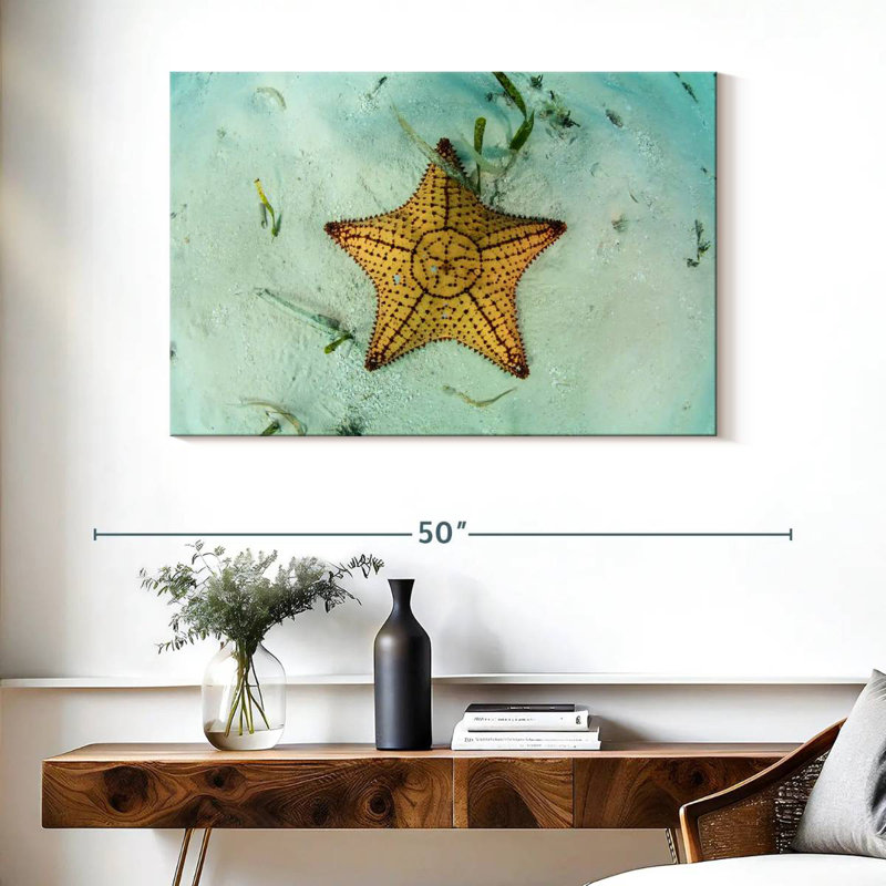 Crowle Starfish Underwater, 26" H x 39" W