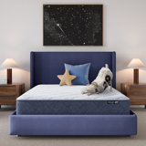 Serta Five Star Mattress Sleep to Go Medium Mattress in a Box