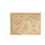 Hand-Knotted High-Quality Cream Area Rug
