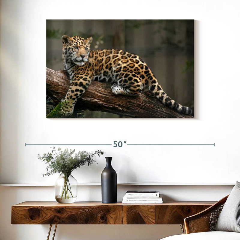 Regard de bébé jaguar Brampt, H 26 po x l 39 po