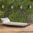 Wicker Outdoor Patio Canopy Daybed