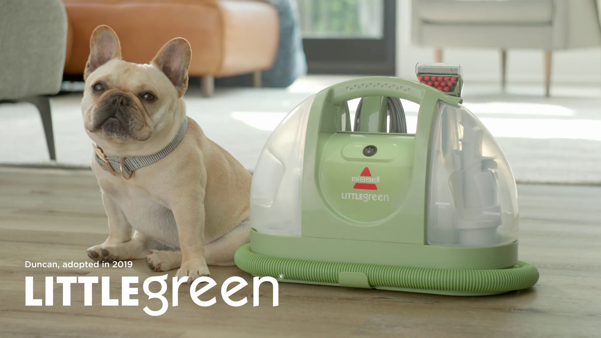 BISSELL Little Green Multi-Purpose Portable Carpet and Upholstery