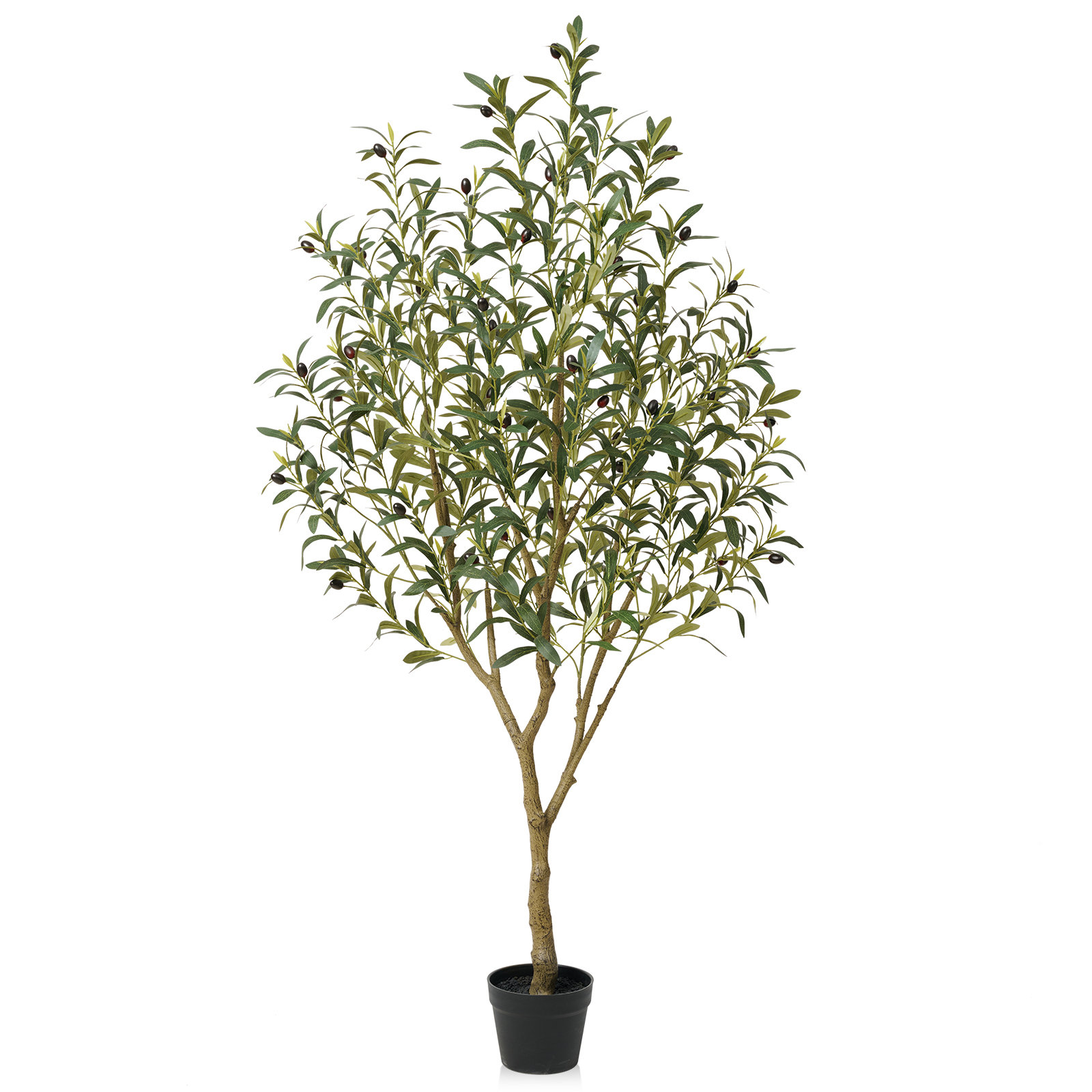 Adcock 72" Olive Tree in Pot, 60" H x 5.10" W x 22" D