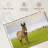 Brampt Donkey And Friends-108906259