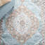 Tapis oriental gris / bleu touffeté à la main Algona-1011100326