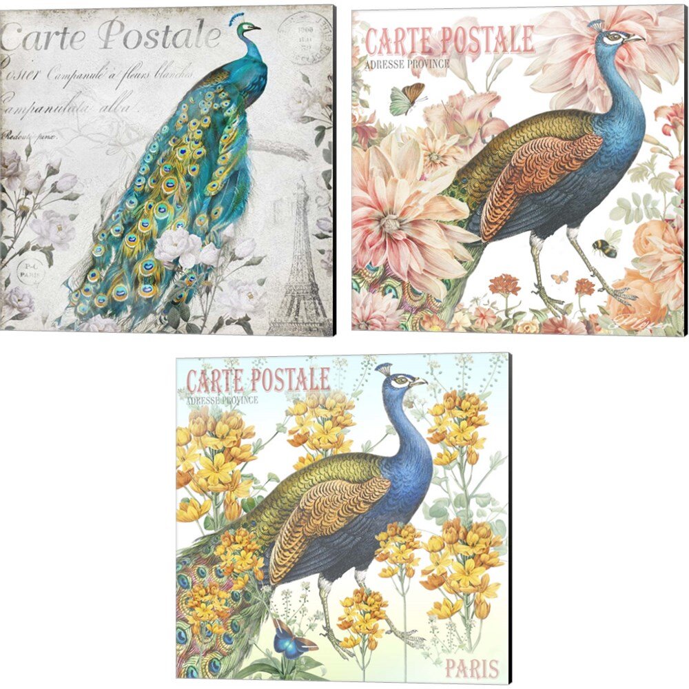 Dakota Fields Peacocks By Mary Jane Creative Canvas Art Set Of 3 Wayfair 5842