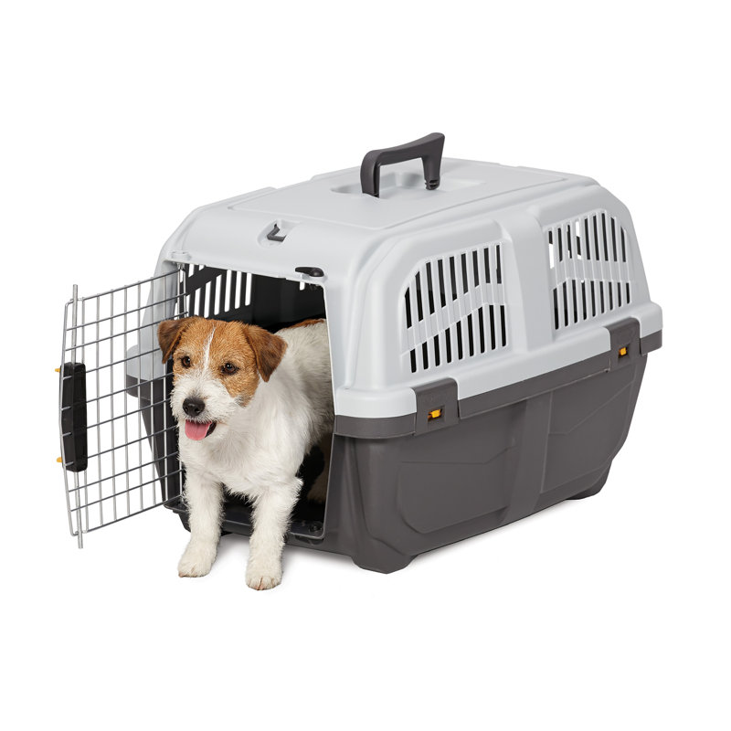 Cage de transport pour animaux Skudo, Très petit (H 12,75 po x l 12,75 po x P 18,88 po)