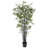 Bamboo Tree with Leaves