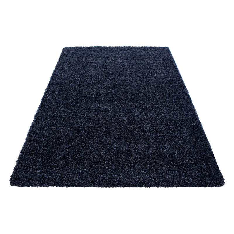 Riam Shag Area Rug, Rectangle 300 x 400cm