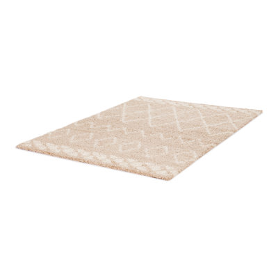 Dale Geometric Shag Area Rug