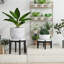 Plant Stand-1799716466
