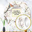 Petits oiseaux sur les branches d'arbre IV-97183335